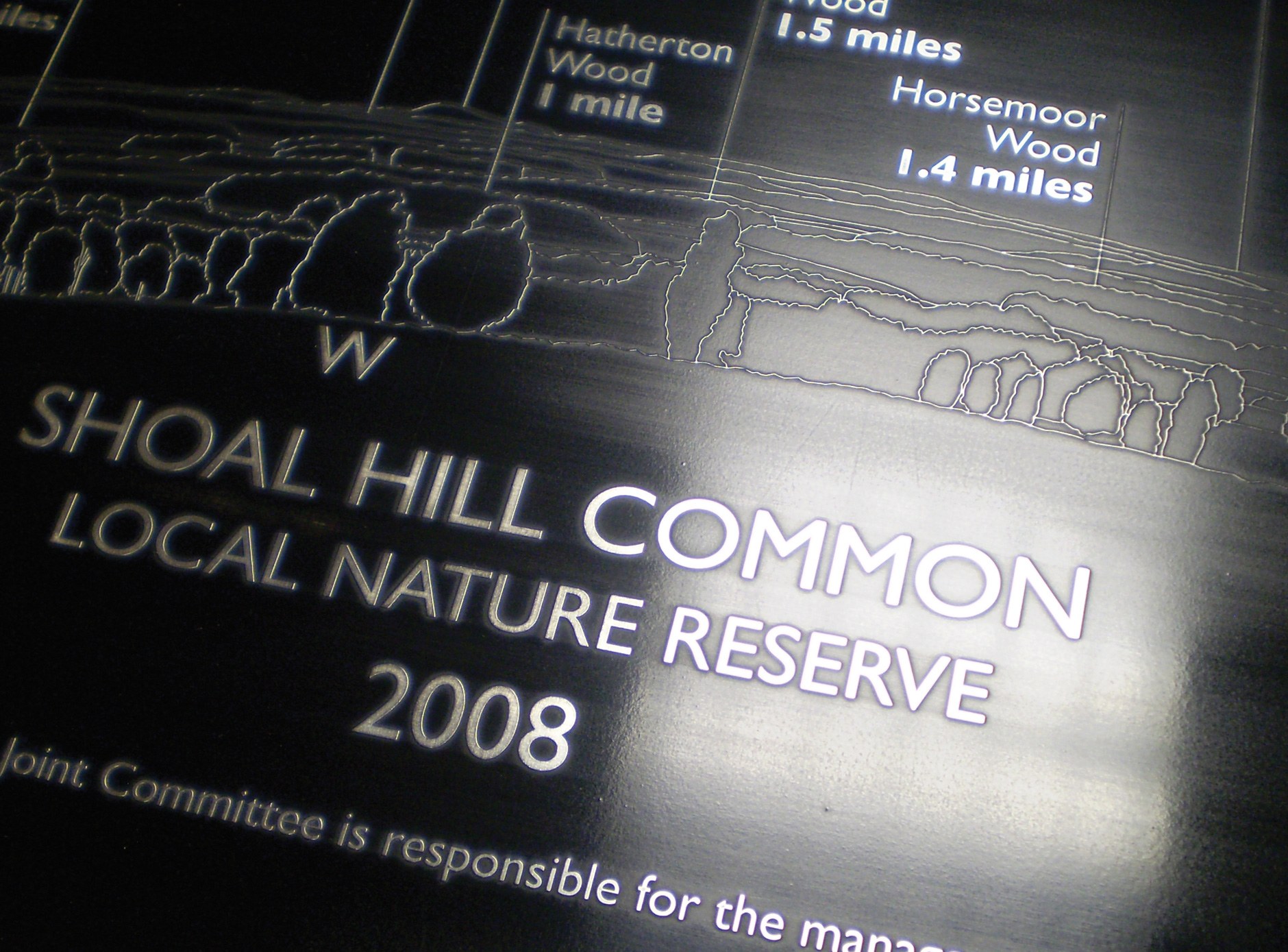 Shoal Hill Common toposcope