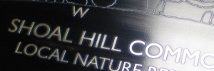 Shoal Hill Common toposcope visual