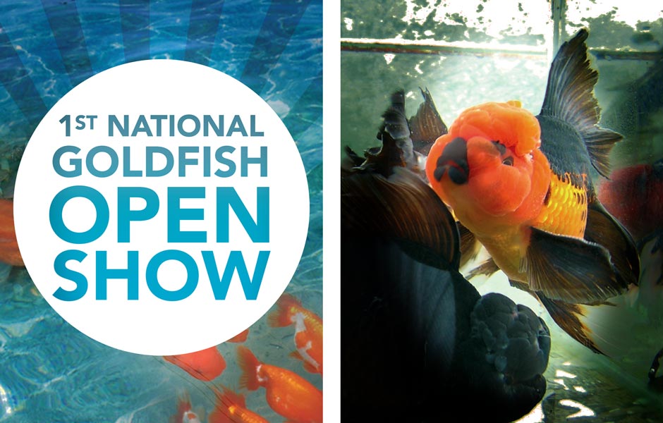 National Goldfish Show Poster