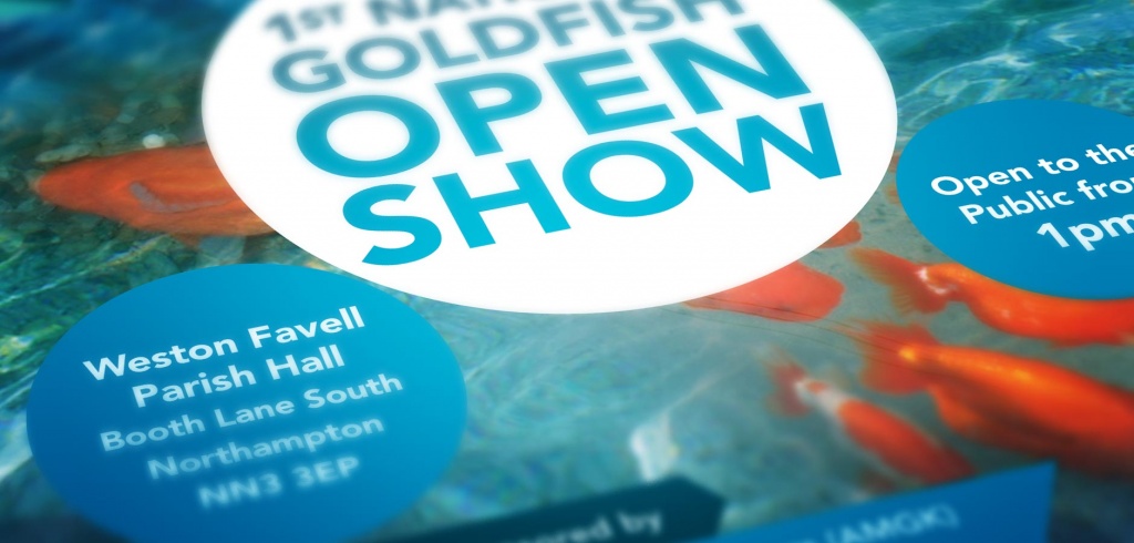 Open Show for Exotic Goldfish