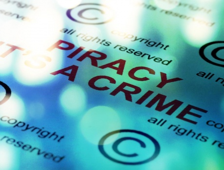 Photograph Copyright Piracy